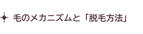 毛のメカニズムと「脱毛方法」