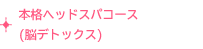 本格ヘッドスパコース(脳デトックス)